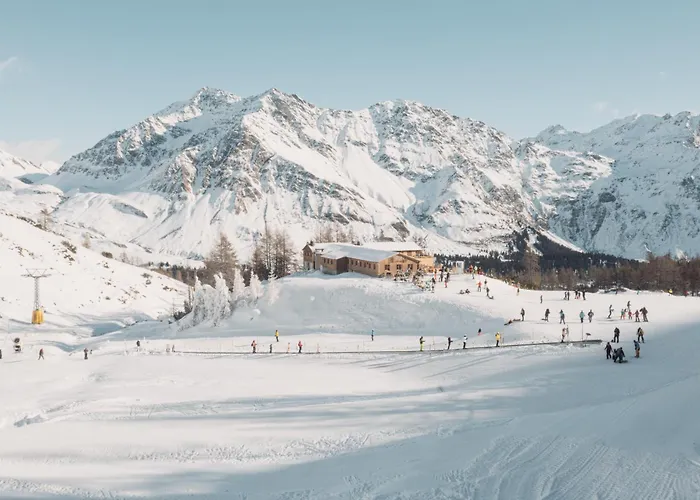 Alpine San Bernardino