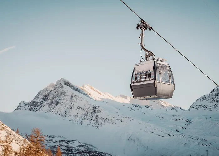 Alpine San Bernardino