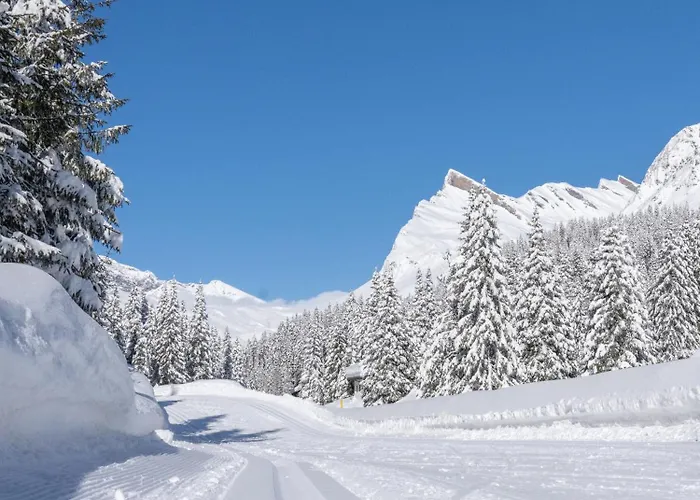 Alpine San Bernardino