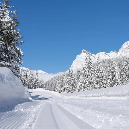 Alpine 샌버너디노